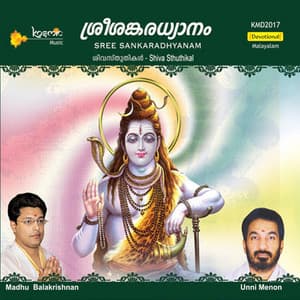 Sree Sankaradhyanam - T S Radhakrishnanji