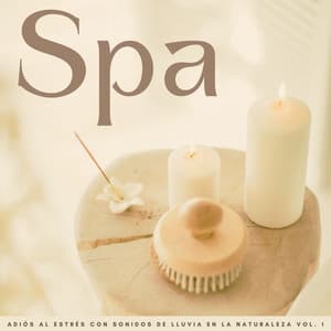 Spa: Adiós Al Estrés Con Sonidos De Lluvia En La Naturaleza Vol. 1 - Meditaciones de lluvia