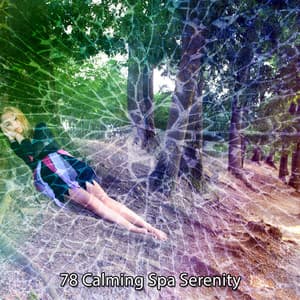 78 Calming Spa Serenity - Musica Para Dormir Profundamente