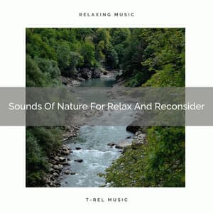 Sounds Of Nature For Relax And Reconsider - Water Ambience