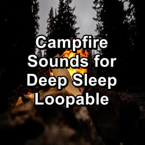 Campfire Sounds for Deep Sleep Loopable - Sleep Sounds of Nature & Campfire Sounds