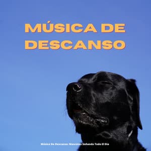 Música De Descanso: Mascotas Soñando Todo El Día - Música Tranquila