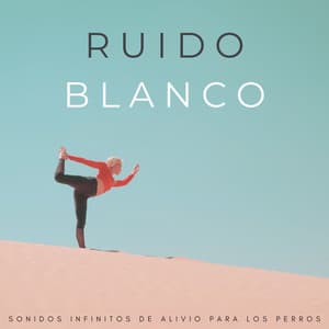 Ruido Blanco: Sonidos Infinitos De Alivio Para Los Perros - Ruido Blanco Browniano