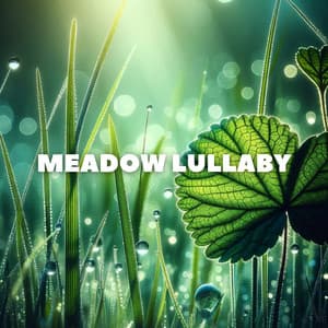 Meadow Lullaby: Drift Away to the Rhythm of Rain - Bedtime Stories Unit