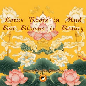 Lotus Roots in Mud But Blooms in Beauty - Chinese Yang Qin Relaxation