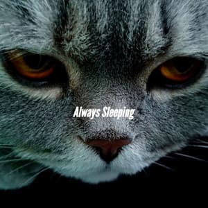 Always Sleeping - Spanish Cafe Music