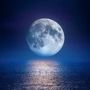 Calma A La Medianoche: Sonidos Suaves Para Un Sueño Profundo - Lo que pasa con el ruido