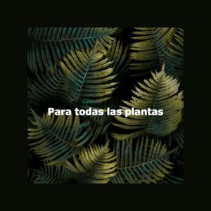 Para todas las plantas - Instrumental Chill Out Jazz