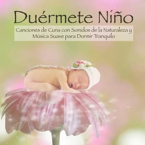 Duérmete Niño - Canciones de Cuna con Sonidos de la Naturaleza y Música Suave para Dormir Tranquilo - Estrella Cuna