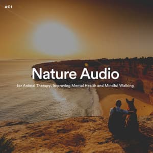 #01 Nature Audio for Animal Therapy, Improving Mental Health and Mindful Walking - The Nature Soundscapes