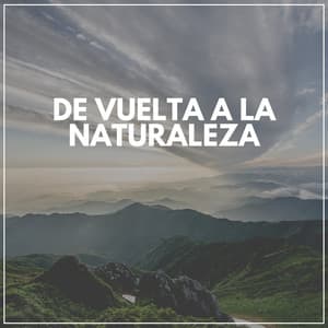 De Vuelta a la Naturaleza - Sonidos de la Naturaleza para Dormir