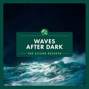 Waves After Dark - The Sound Reserve