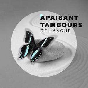 Apaisant tambours de langue: 45 minutes de méditation zen - Ensamble de Musique Méditation