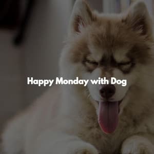 Happy Monday with Dog - Música de Trabajo De Lujo