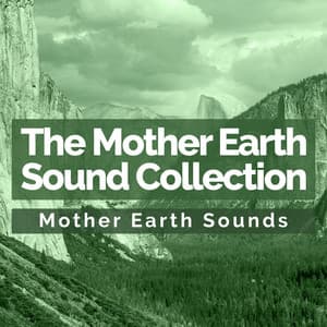 The Mother Earth Sound Collection - Mother Earth Sounds