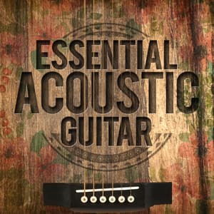 Essential Acoustic Guitar - Guitar Masters