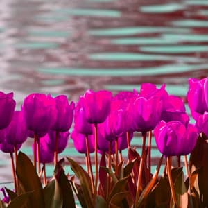 Cultivated Background for Intellectual Steps - Smoothe Sounds