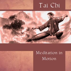 Tai Chi – Meditation in Motion - Yin Yang Music Zone