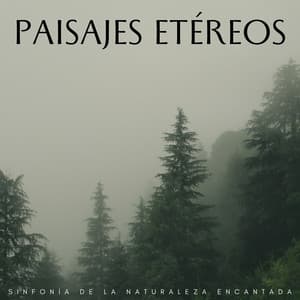Paisajes Etéreos: Sinfonía De La Naturaleza Encantada - La fuga del bosque