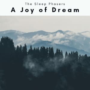 A Joy of Dream - The Sleep Phasers