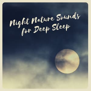 Night Nature Sounds for Deep Sleep - Sleeping Culture