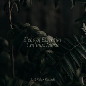 Sleep of Essential Chillout Music - Smart Baby Lullaby