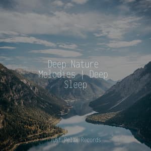 Deep Nature Melodies | Deep Sleep - Rest & Relax Nature Sounds Artists