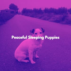 Peaceful Sleeping Puppies - Classic Instrumental Jazz
