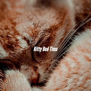 Kitty Bed Time - Background Jazz Music