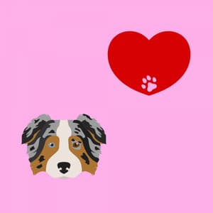 Subdued Jazz Violin - Background for Doggy and Lullaby - Puppy Sleeping Sounds