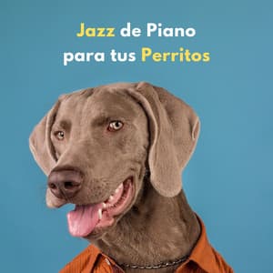Jazz De Piano Para Tus Perritos - Lista de reproducción de jazz para perros