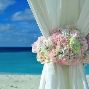 Spirit Awakening - Evening Relax De-Stress - Deep Sleep