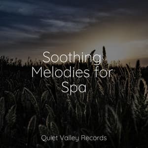 Soothing Melodies for Spa - Organic Nature Sounds