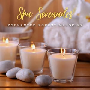 Pianistic Tranquility: Spa Serenades - The Piano Lounge Players