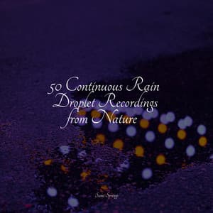 50 Continuous Rain Droplet Recordings from Nature - Rainfall
