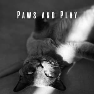 Paws and Play: A Cat's Chill Music - The Entrainment