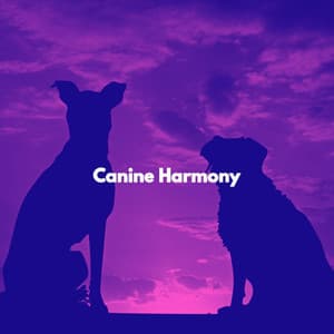 Canine Harmony - Französische Cafe Musik