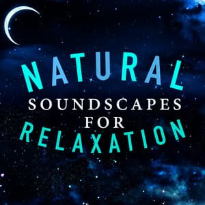 Natural Soundscapes for Relaxation - Soundscapes