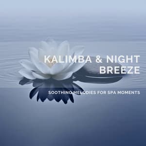 Kalimba & Night Breeze: Soothing Melodies for Spa Moments - Quarantine Meditation