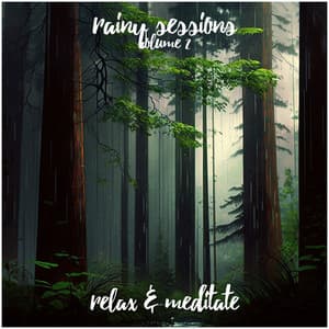 Rainy Sessions - Volume 2 - Relax and Meditate