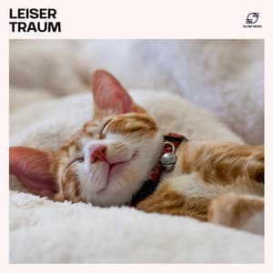 Leiser Traum - Musik zum Einschlafen
