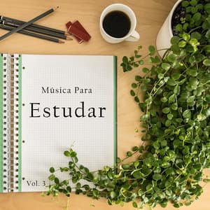 Músicas para Estudar Vol 3 - Musicas para Estudar Collective