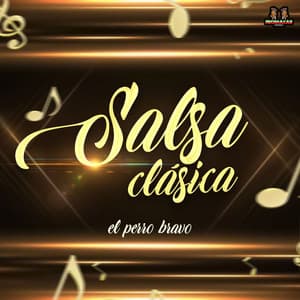 El Perro Bravo - Salsa Clasica