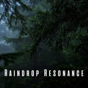 Rain Drop Resonance: Focus Serenade with Rain and Chill Music - Danny Rainsounds