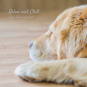 Relax and Chill: Dogs Sleeping Well - Dog Music Library