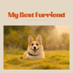My Best Furriend - Doggy Relaxing Sounds