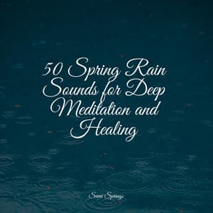 50 Spring Rain Sounds for Deep Meditation and Healing - Soothing Nature Sounds