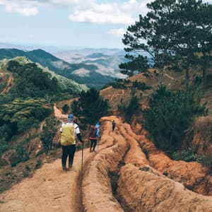 Nature Summit Serenade: Harmonies from Mountain Heights - Microdynamic Recordings