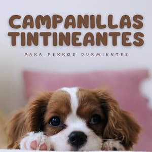 Campanillas Tintineantes Para Perros Durmientes - La Naturaleza Del Sueño