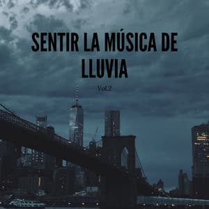 Sentir La Música De Lluvia, Vol. 2 - Ricky sonido de lluvia